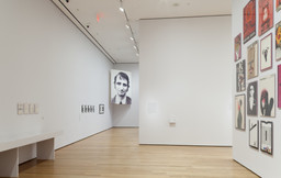 Installation photo, 61 of 77