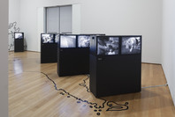 Transmissions: Art in Eastern Europe and Latin America, 1960–1980. Sep 5, 2015–Jan 3, 2016.