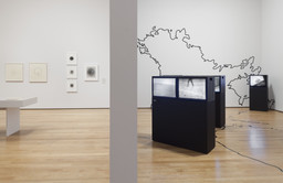 Installation photo, 71 of 77