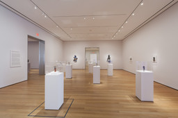Installation photo, 15 of 93