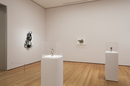 Installation photo, 17 of 93