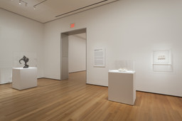 Installation photo, 39 of 93