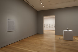 Installation photo, 49 of 93