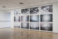 Walid Raad. Oct 12, 2015–Jan 31, 2016.