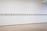 Walid Raad. Oct 12, 2015–Jan 31, 2016.