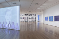 Walid Raad. Oct 12, 2015–Jan 31, 2016.