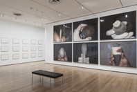 Walid Raad. Oct 12, 2015–Jan 31, 2016.