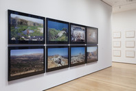 Walid Raad. Oct 12, 2015–Jan 31, 2016.