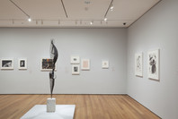 Soldier, Spectre, Shaman: The Figure and the Second World War. Oct 24, 2015–Apr 3, 2016. 4 other works identified