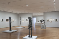 Soldier, Spectre, Shaman: The Figure and the Second World War. Oct 24, 2015–Apr 3, 2016. 12 other works identified