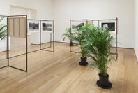 Ocean of Images: New Photography 2015 . Nov 7, 2015–Mar 20, 2016.