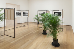 Installation photo, 23 of 68