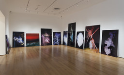 Installation photo, 34 of 68
