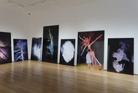 Ocean of Images: New Photography 2015 . Nov 7, 2015–Mar 20, 2016. 6 other works identified