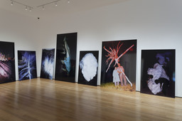 Installation photo, 35 of 68