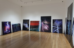 Installation photo, 36 of 68