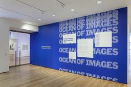 Installation photo, 1 of 68