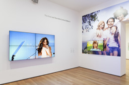 Installation photo, 3 of 68