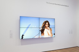 Installation photo, 4 of 68