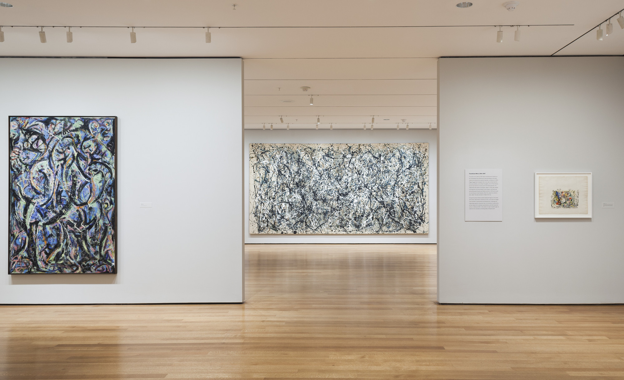 Installation view of the exhibition "Jackson Pollock A Collection