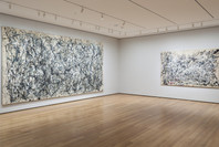 Jackson Pollock: A Collection Survey, 1934–1954. Nov 22, 2015–May 1, 2016. 1 other work identified