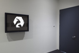 Installation photo, 7 of 22