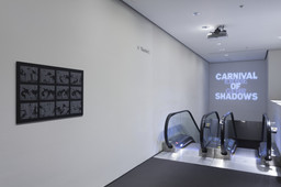 Installation photo, 8 of 22