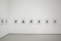 Scenes for a New Heritage: Contemporary Art from the Collection. Mar 8, 2015–Apr 11, 2016. 2 other works identified
