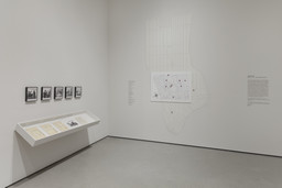 Installation photo, 22 of 43