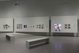 Installation photo, 29 of 43