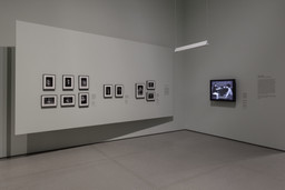 Installation photo, 30 of 43