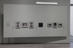 Installation photo, 34 of 43