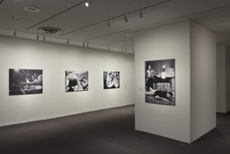 Installation photo, 15 of 16