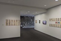 Installation photo, 7 of 16
