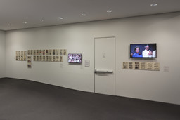 Installation photo, 8 of 16