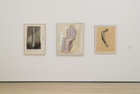 Bruce Nauman: Disappearing Acts. Oct 21, 2018–Feb 25, 2019.