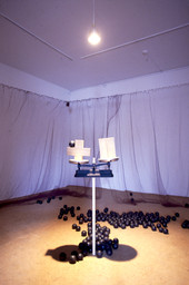 Installation photo, 14 of 52