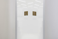 Adrian Piper: A Synthesis of Intuitions, 1965–2016. Mar 31–Jul 22, 2018.