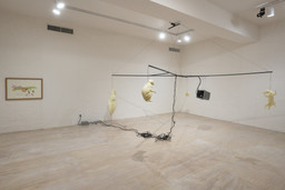 Installation photo, 103 of 187