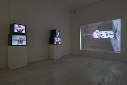 Installation photo, 104 of 165
