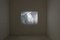 Installation photo, 112 of 187