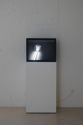Installation photo, 114 of 165