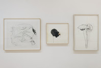 Bruce Nauman: Disappearing Acts. Oct 21, 2018–Feb 25, 2019. 1 other work identified