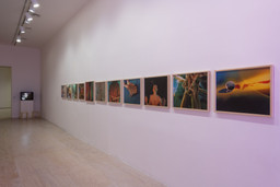 Installation photo, 131 of 165