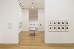 Installation photo, 77 of 189