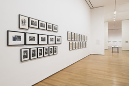 Installation photo, 81 of 189