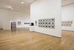 Installation photo, 84 of 189