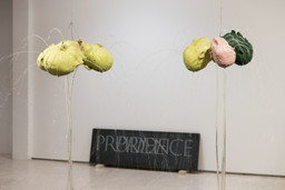Installation photo, 96 of 165