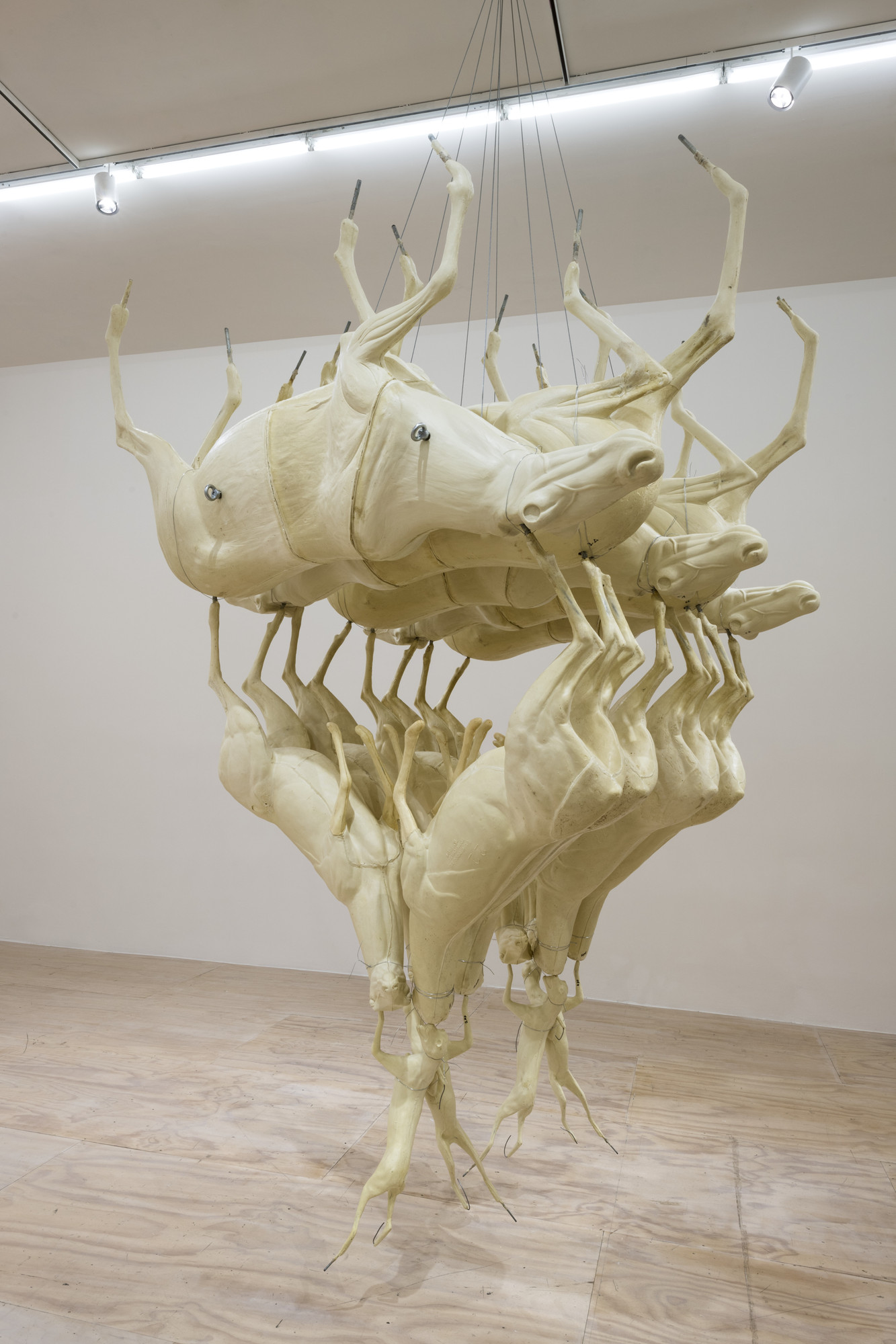 Installation view of the exhibition 