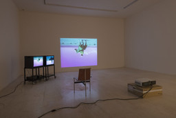 Installation photo, 87 of 165